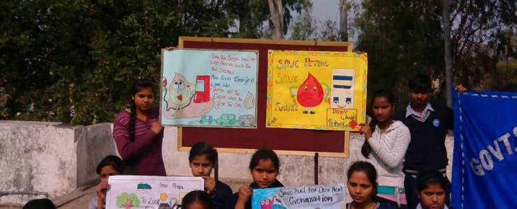  Picture Gallery 2015