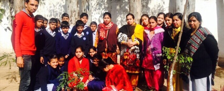  Picture Gallery 2015