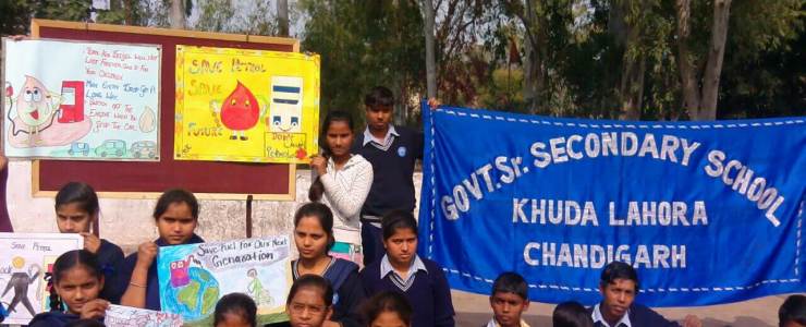  Picture Gallery 2015