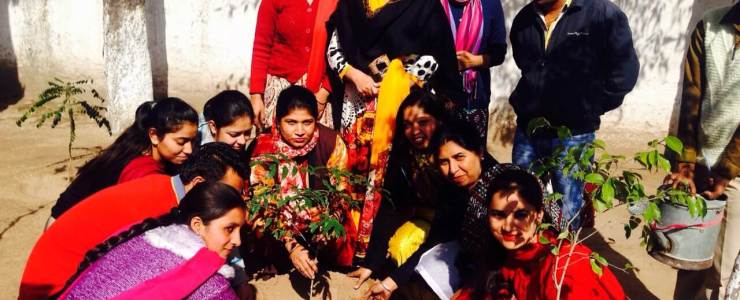  Picture Gallery 2015