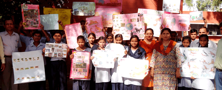  Picture Gallery 2015