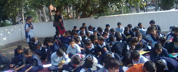  Picture Gallery 2015