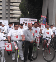  Picture Gallery 2015