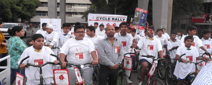  Picture Gallery 2015