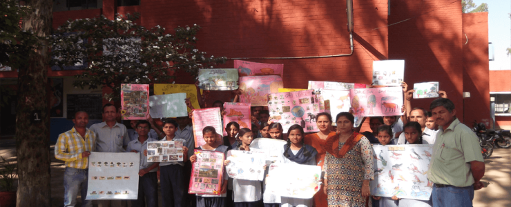  Picture Gallery 2015