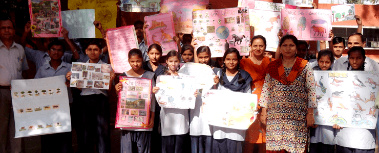  Picture Gallery 2015