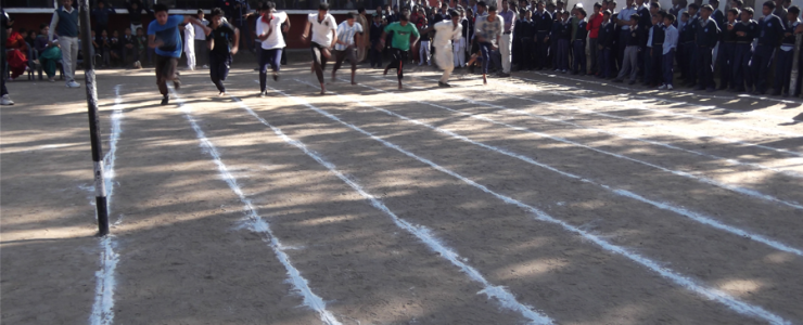  Picture Gallery 2015