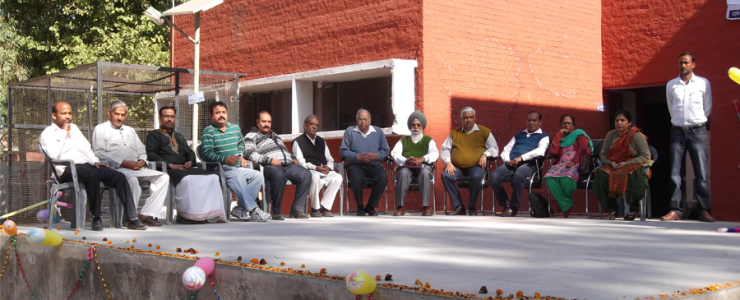  Picture Gallery 2015