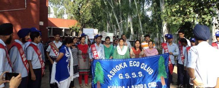  Picture Gallery 2015