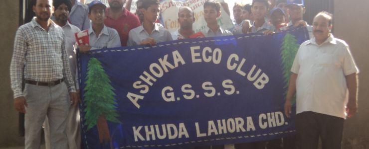  Picture Gallery 2015