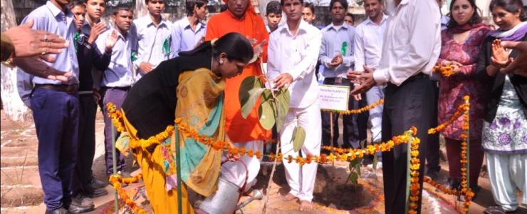  Picture Gallery 2015