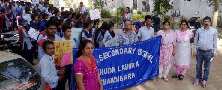  Picture Gallery 2015