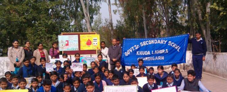  Picture Gallery 2015