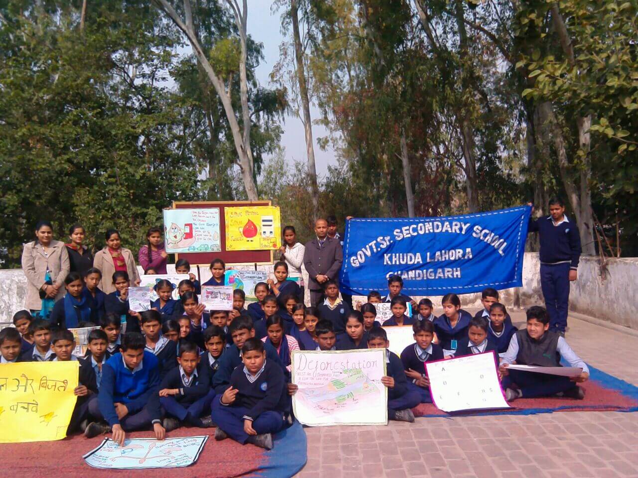  Picture Gallery 2015