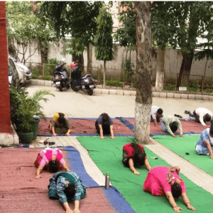 International Yoga Day Celebration